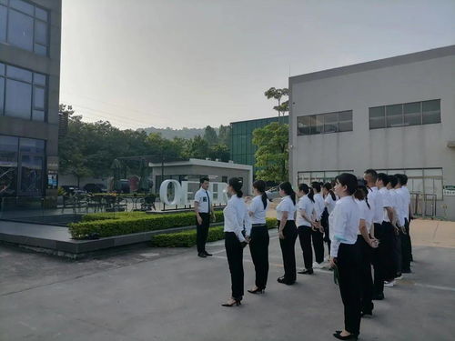 歐哲第22期雛鷹行動(dòng)精英導(dǎo)購特訓(xùn)營(yíng)圓滿結(jié)束