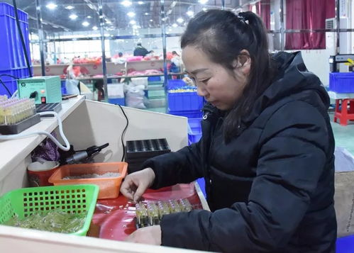 大龍企業(yè) 優(yōu)質(zhì)產(chǎn)品驅(qū)動訂單增長，培訓(xùn)活動助力持續(xù)發(fā)展